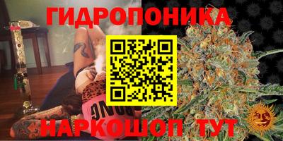 эйфоретик Канаш